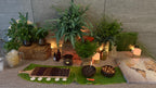 Herbal Gusmester Workshop – på ALSIK Nordic Spa