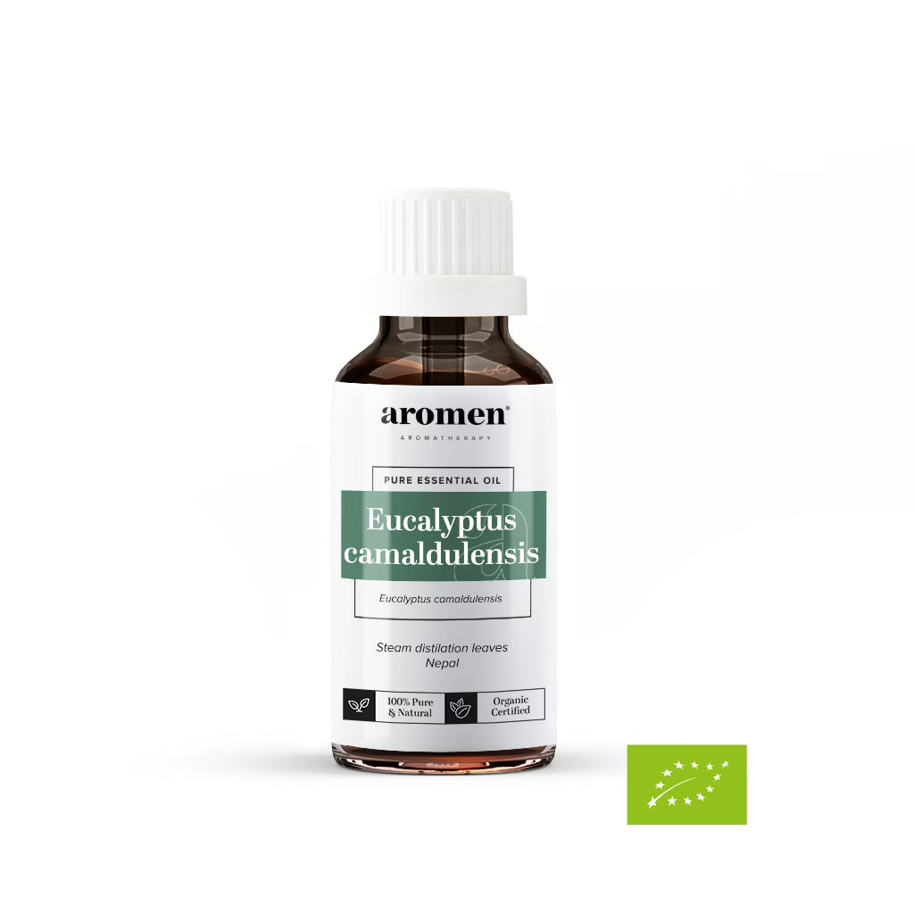 Eucalyptus Camaldulensis - Aromen
