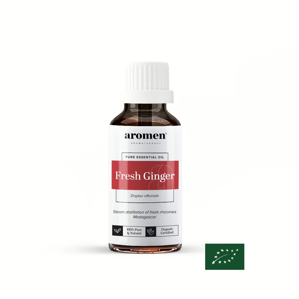 Fresh Ginger - Aromen