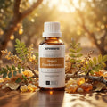 Hojari Frankincense - Aromen