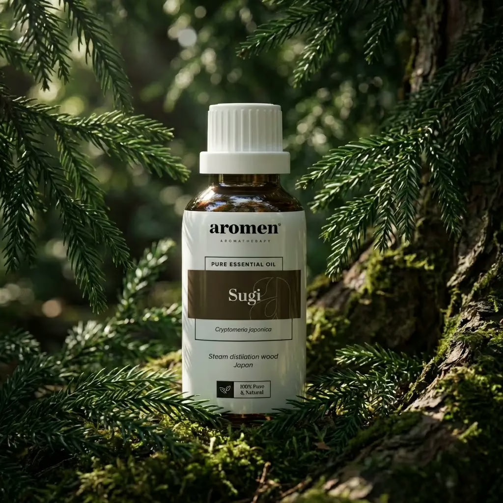 Sugi - Aromen
