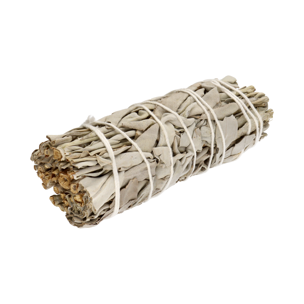 California White Sage (Salvia Apiana) – 10-11 cm