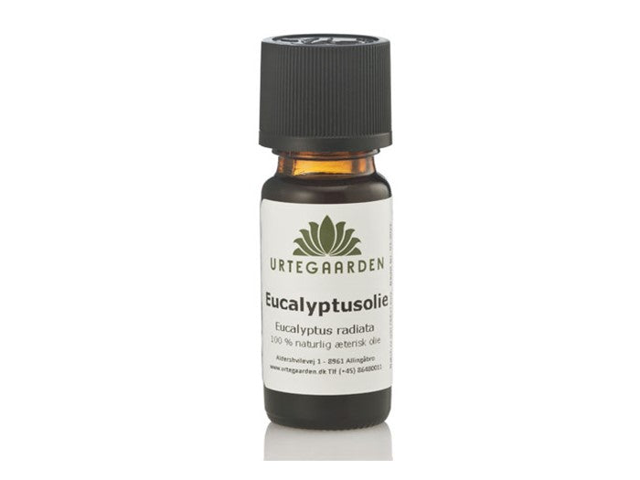 Eucalyptusolie - Urtegaarden