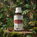 Japanischer Sansho-Pfeffer - Aromen