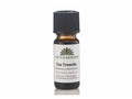 Tea Treeolie ØKO - Urtegaarden