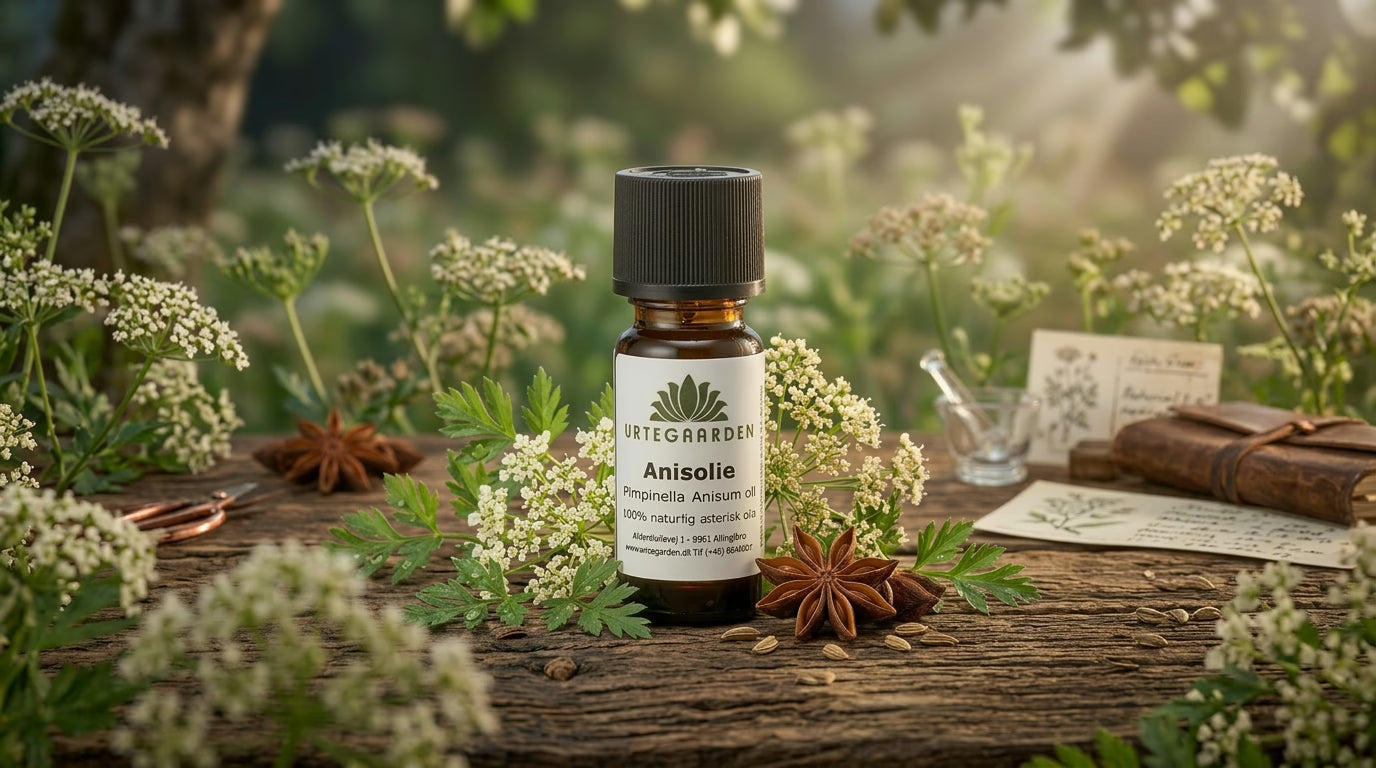 Anisolie - Urtegaarden